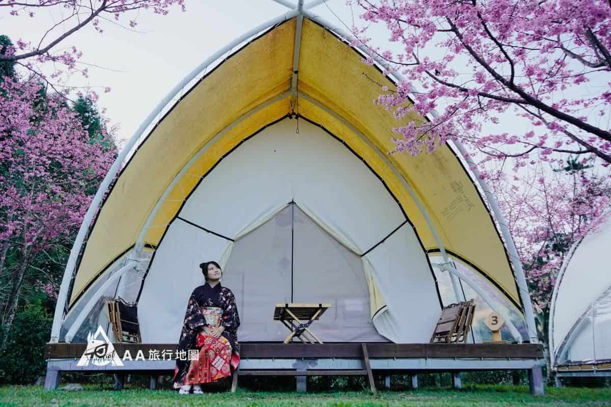 蟬說霧繞櫻花季穿和服在豐收地帳篷前拍照