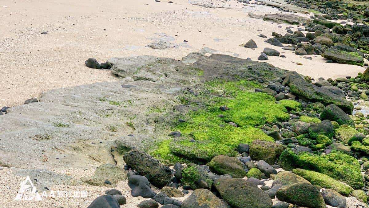 綠島大白砂岸邊的礁石與砂
