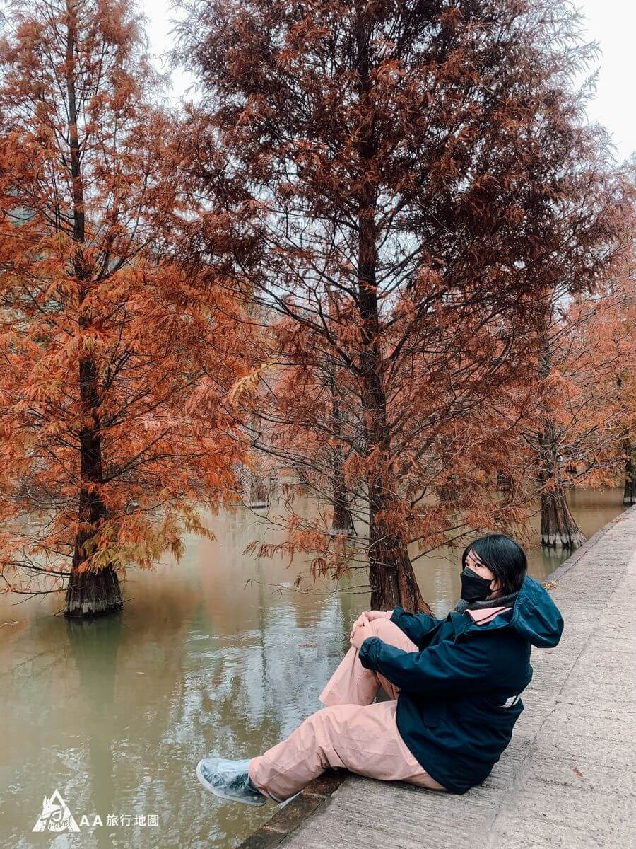 除了一整排的落羽松很好拍之外，坐在湖旁邊拍也是很漂亮